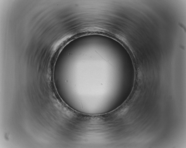 X0000099520979200805151520
