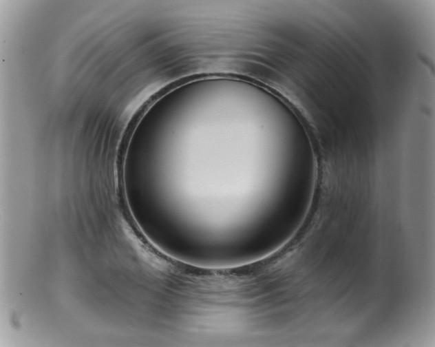 X0000099520980200805151520