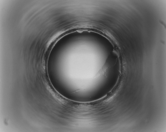 X0000099520981200805151520