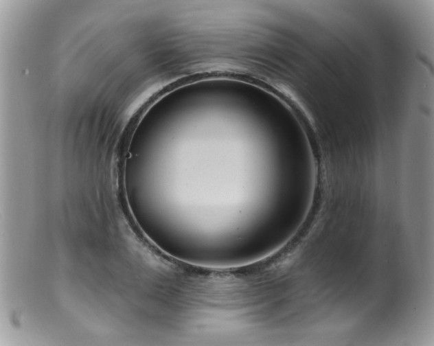 X0000099520983200805151520