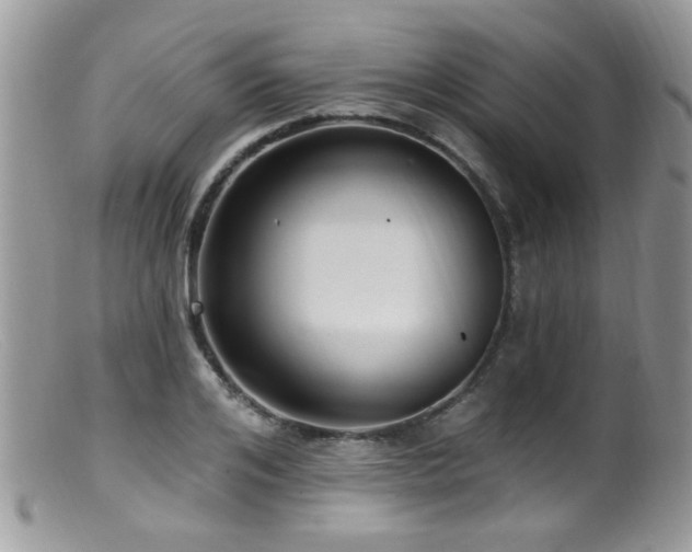X0000099520984200805151520