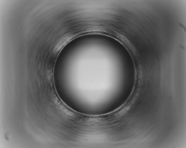 X0000099520985200805151520