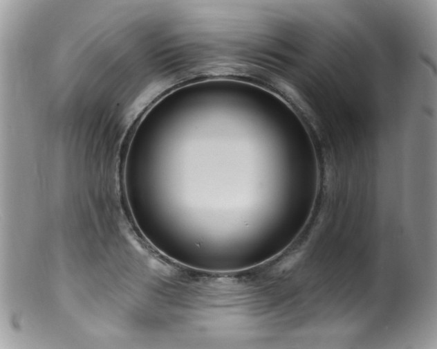 X0000099520986200805151520
