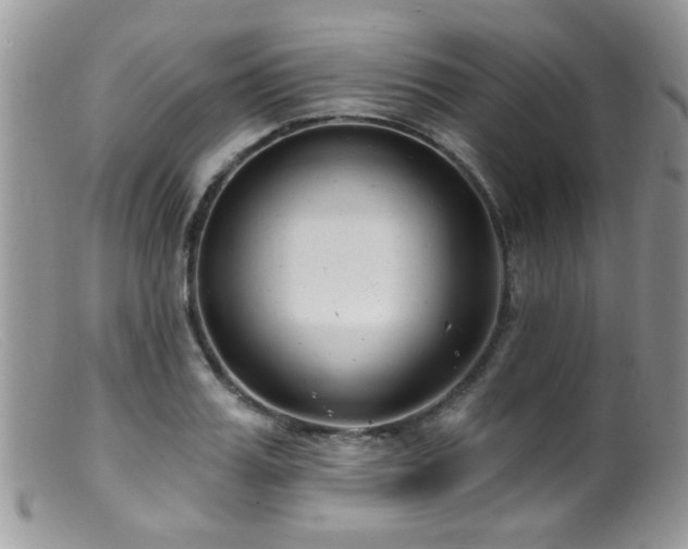 X0000099520987200805151520