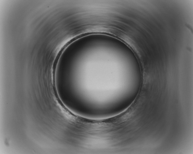 X0000099520988200805151520