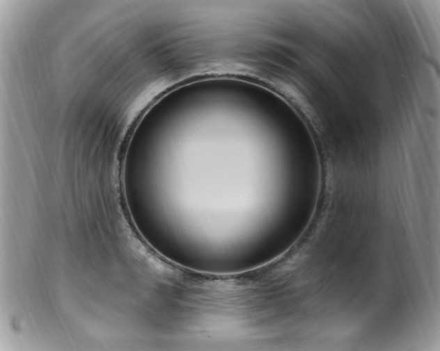 X0000099520990200805151520