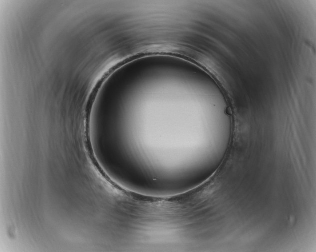 X0000099520992200805151520
