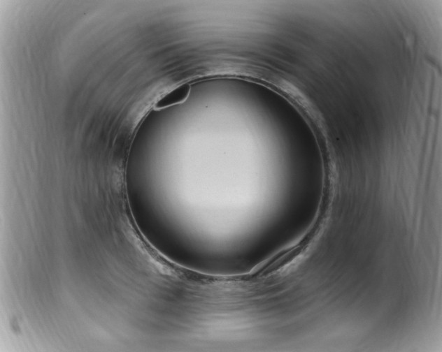 X0000099520993200805151520