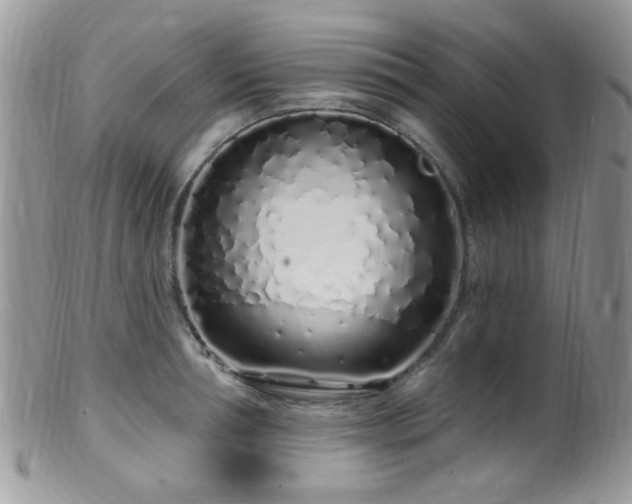 X0000099520994200805151520