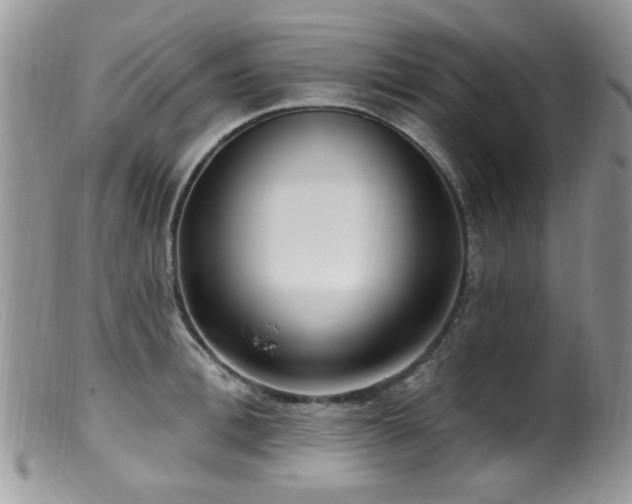 X0000099520996200805151520