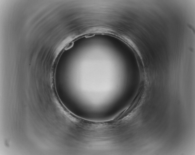 X0000099520997200805151520