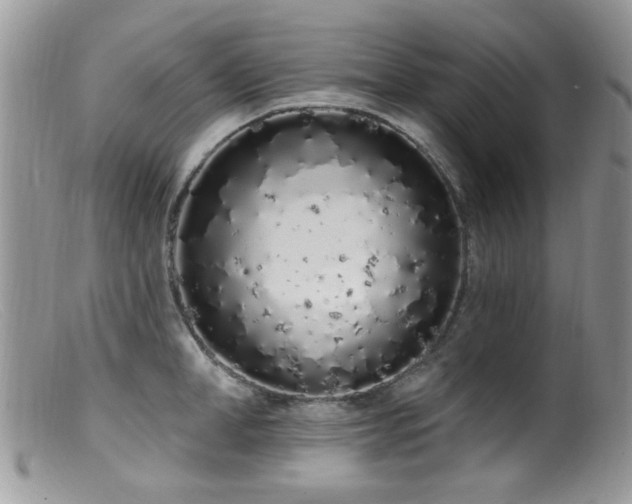 X0000099520998200805151520