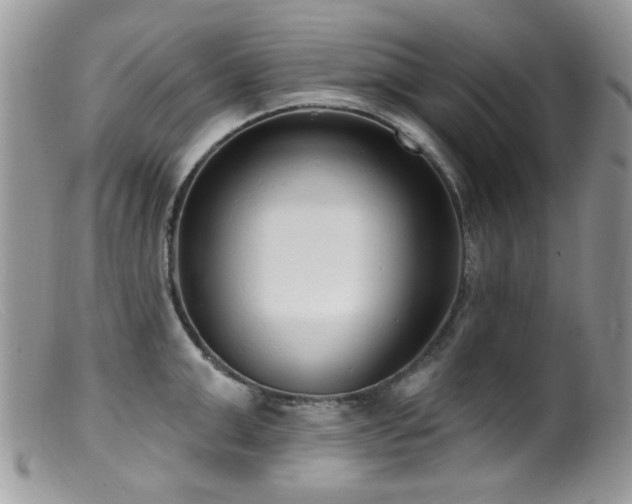 X0000099520999200805151520