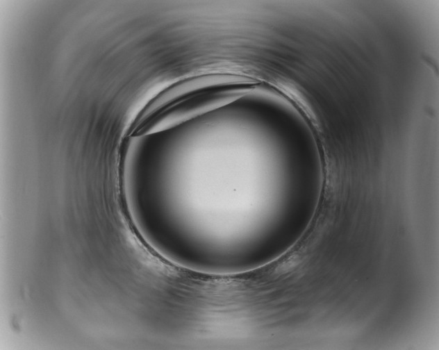 X0000099521000200805151520