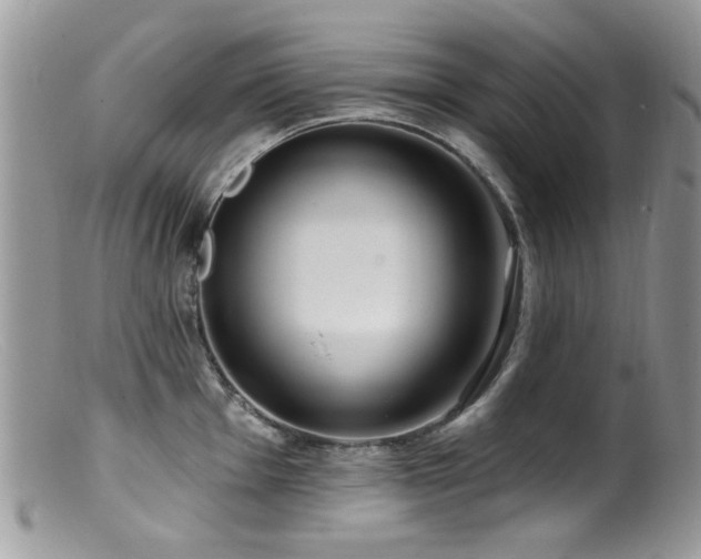 X0000099521001200805151520