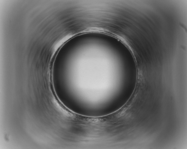X0000099521003200805151520