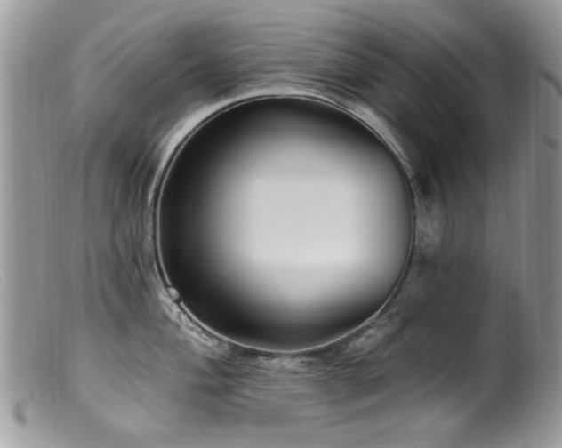 X0000099521004200805151520