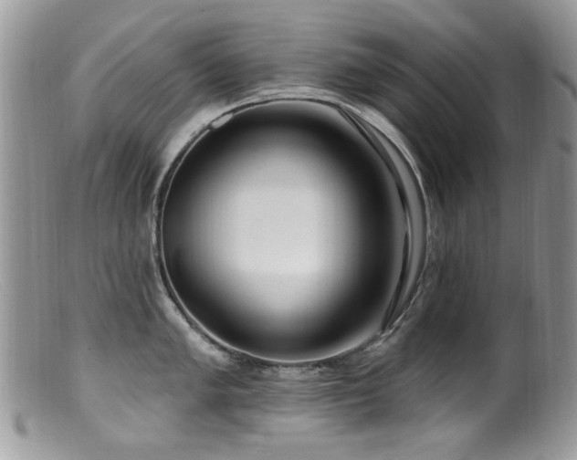 X0000099521005200805151520