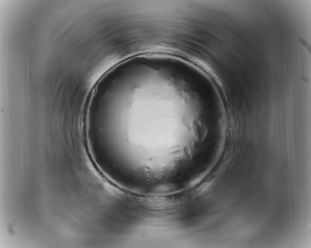 X0000099521007200805151520