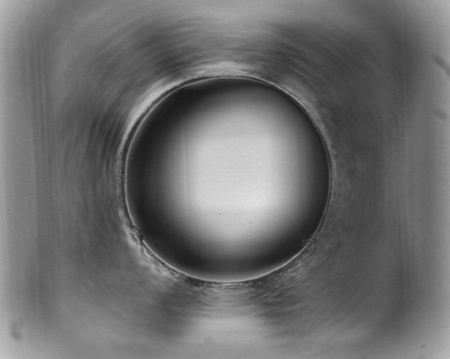 X0000099521008200805151520