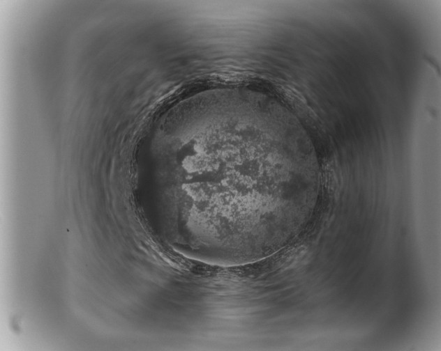 X0000099521009200805151519