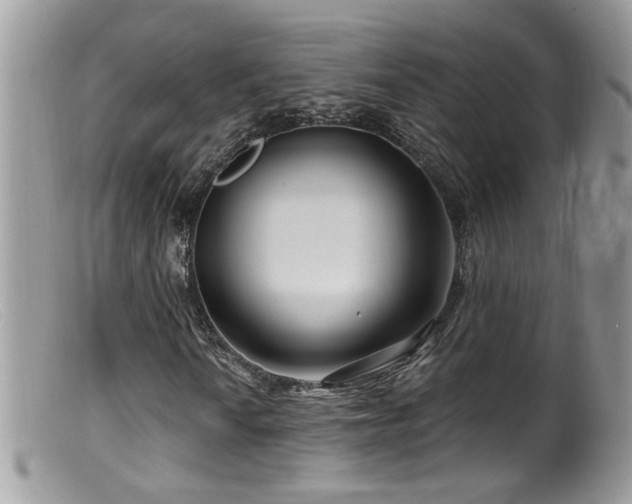 X0000099521010200805151519