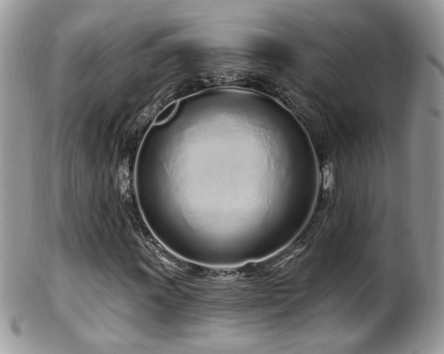 X0000099521011200805151519