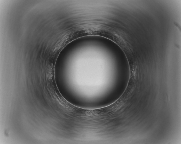 X0000099521012200805151519