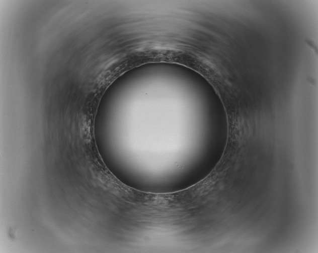 X0000099521013200805151519