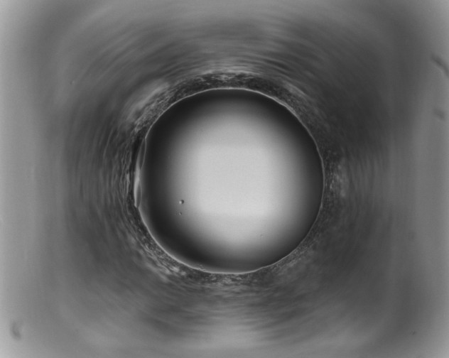 X0000099521014200805151519