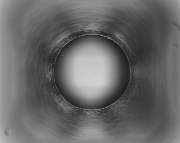 X0000099521015200805151519