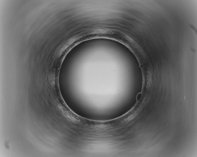 X0000099521017200805151519