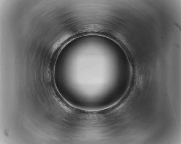 X0000099521018200805151519