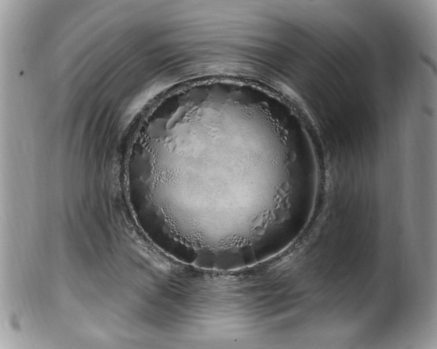 X0000099521019200805151519