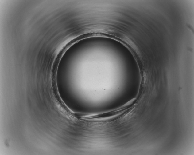 X0000099521020200805151519