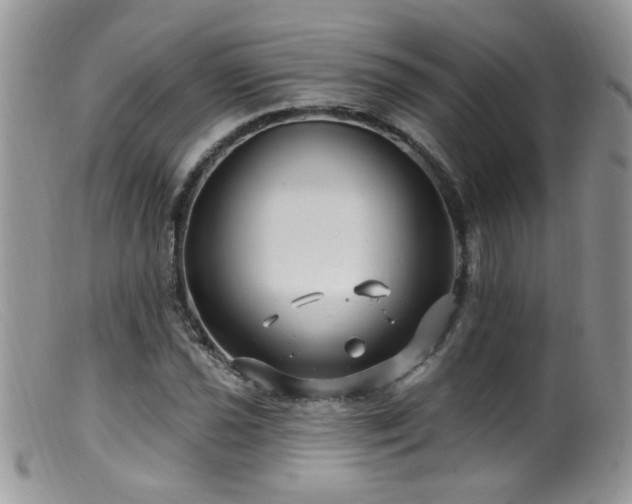 X0000099521021200805151519
