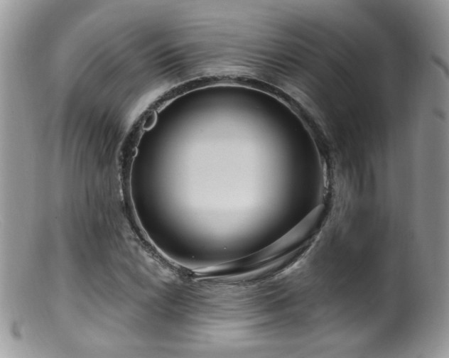 X0000099521022200805151519