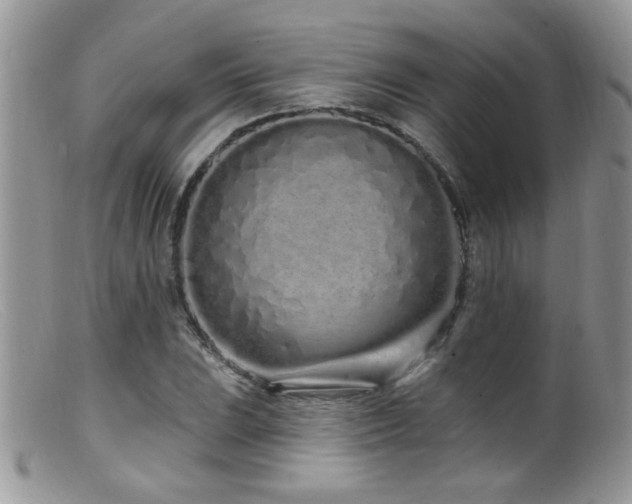 X0000099521023200805151519