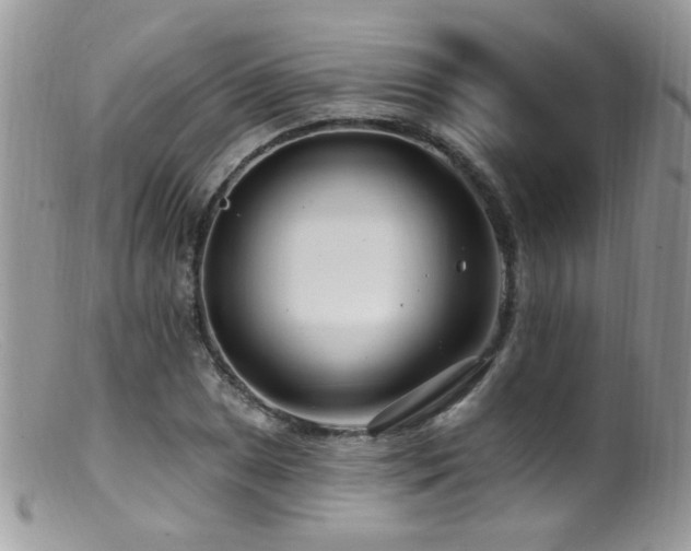 X0000099521025200805151519