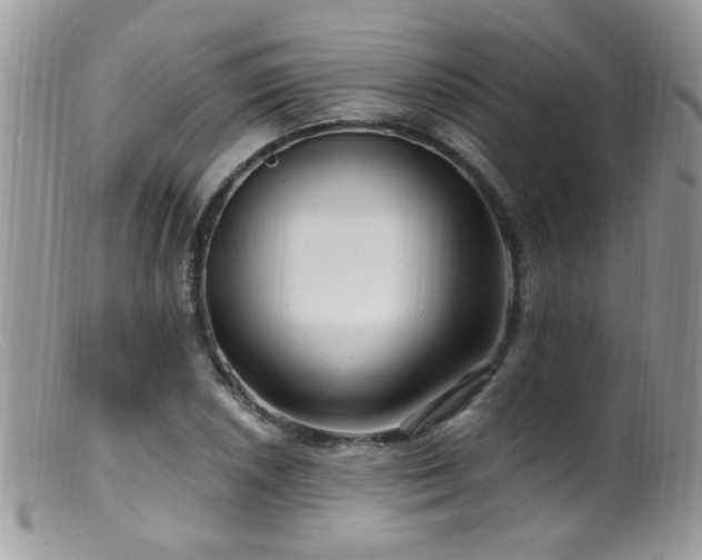 X0000099521026200805151519