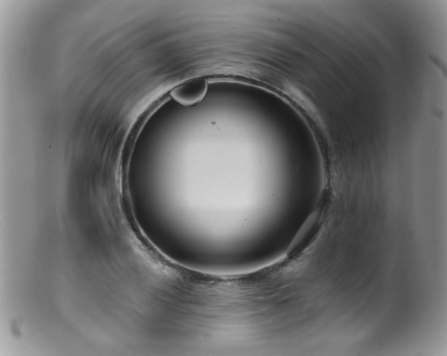 X0000099521028200805151519