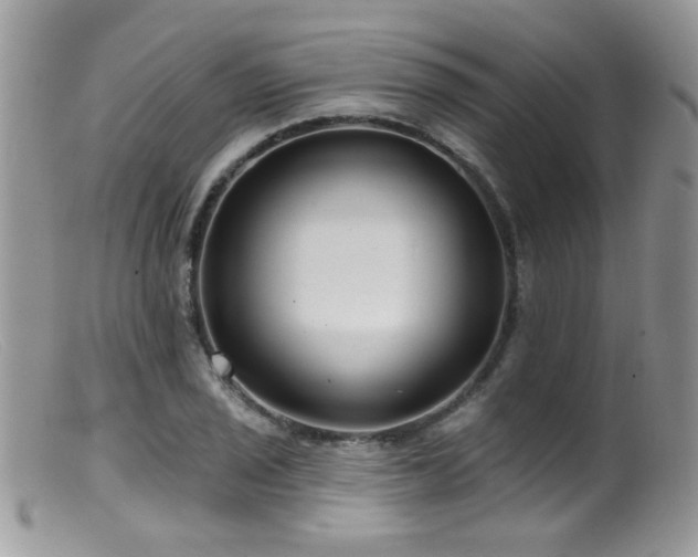 X0000099521029200805151519