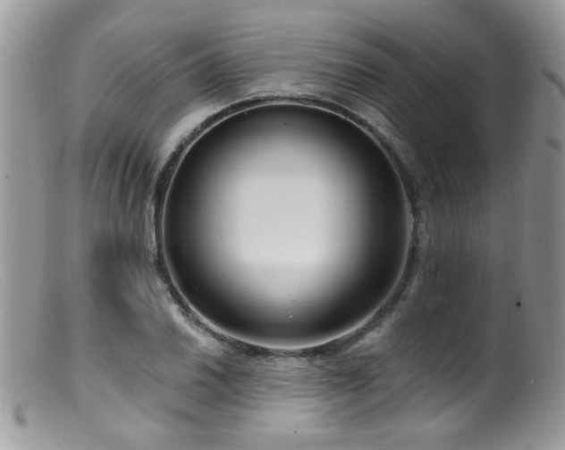 X0000099521030200805151519
