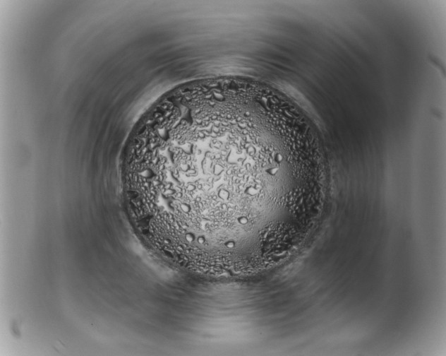 X0000099521031200805151519