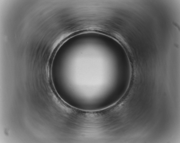 X0000099521032200805151519