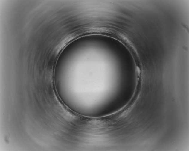 X0000099521033200805151519