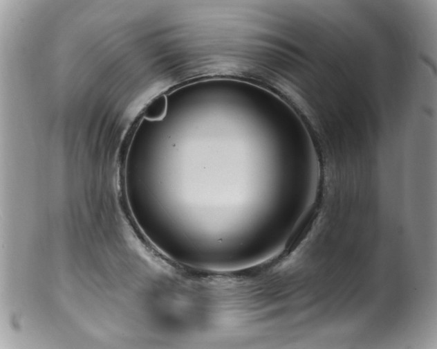 X0000099521034200805151519