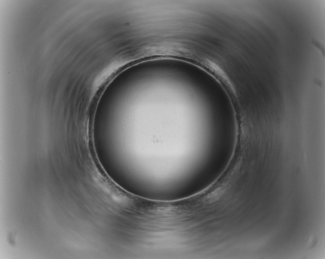 X0000099521035200805151519