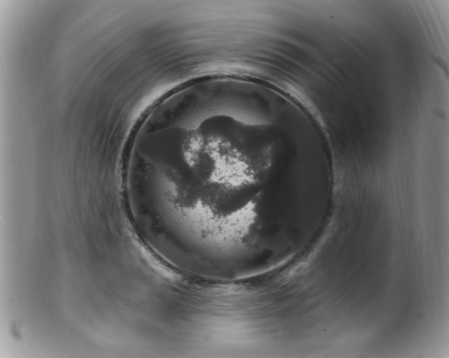 X0000099521037200805151519