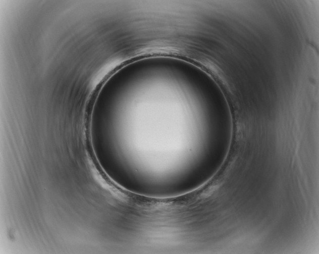 X0000099521038200805151519